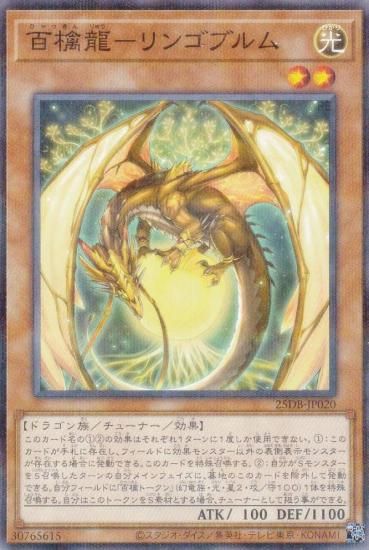 ͷ���� 25DB-JP020 ɴ��ζ�ݥ�󥴥֥�� (���ܸ��� �Ρ��ޥ�ѥ���) DUELIST BOX ��PRISMATIC SUMMON��