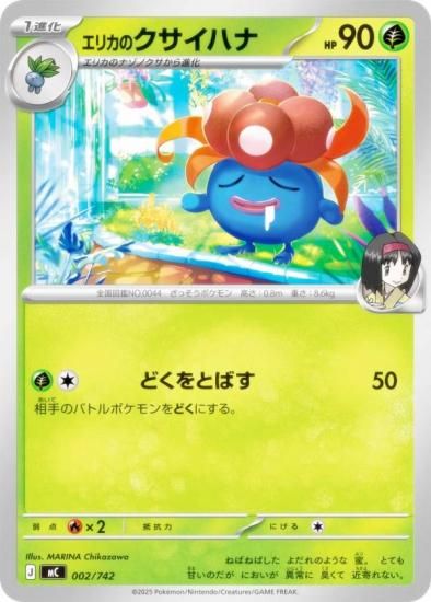 �ݥ���󥫡��ɥ����� MC 002/742 ���ꥫ�Υ������ϥ� �� MEGA �������ȥǥå�100 �Хȥ륳�쥯�����