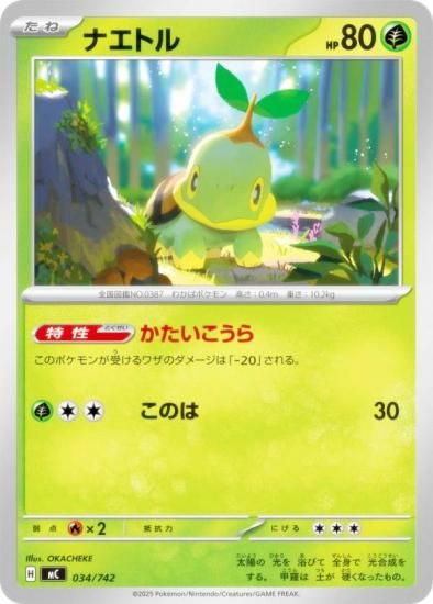 �ݥ���󥫡��ɥ����� MC 034/742 �ʥ��ȥ� �� MEGA �������ȥǥå�100 �Хȥ륳�쥯�����