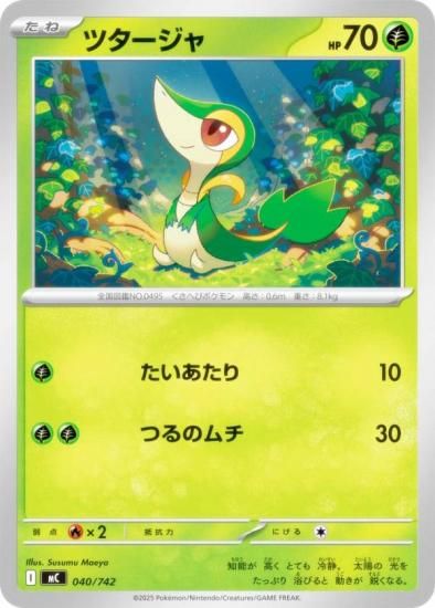 �ݥ���󥫡��ɥ����� MC 040/742 �ĥ������� �� MEGA �������ȥǥå�100 �Хȥ륳�쥯�����