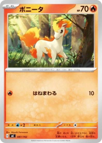 �ݥ���󥫡��ɥ����� MC 087/742 �ݥˡ��� �� MEGA �������ȥǥå�100 �Хȥ륳�쥯�����