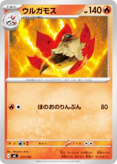 �ݥ���󥫡��ɥ����� MC 123/742 ���륬�⥹ �� MEGA �������ȥǥå�100 �Хȥ륳�쥯�����