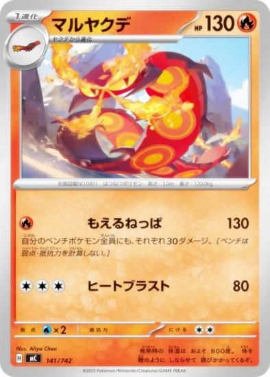 �ݥ���󥫡��ɥ����� MC 141/742 �ޥ�䥯�� �� MEGA �������ȥǥå�100 �Хȥ륳�쥯�����