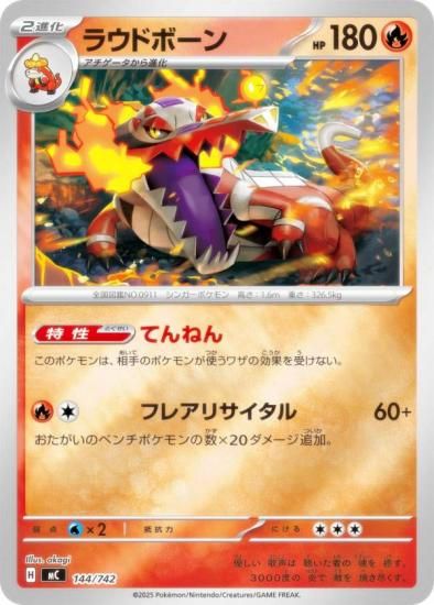 �ڥ�����͡ۥݥ���󥫡��ɥ����� MC 144/742 �饦�ɥܡ��� �� MEGA �������ȥǥå�100 �Хȥ륳�쥯�����