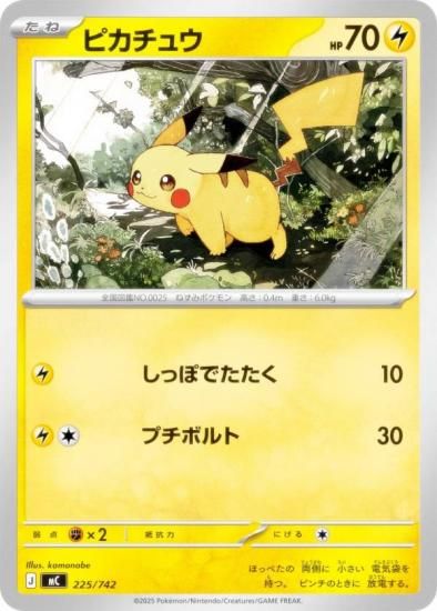 �ݥ���󥫡��ɥ����� MC 225/742 �ԥ����奦 �� MEGA �������ȥǥå�100 �Хȥ륳�쥯�����