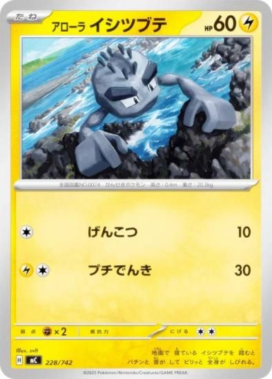 �ݥ���󥫡��ɥ����� MC 228/742 �������饤���ĥ֥� �� MEGA �������ȥǥå�100 �Хȥ륳�쥯�����