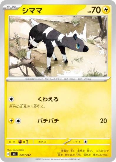 �ݥ���󥫡��ɥ����� MC 249/742 ���ޥ� �� MEGA �������ȥǥå�100 �Хȥ륳�쥯�����