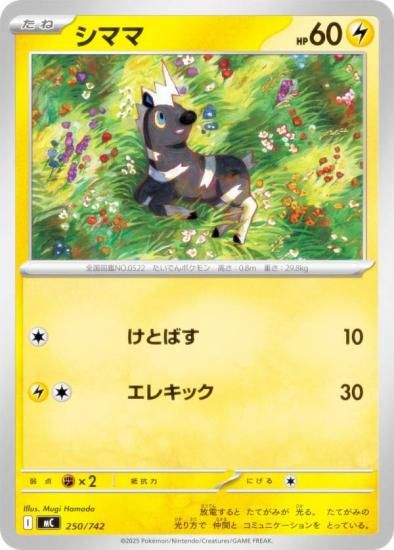 �ݥ���󥫡��ɥ����� MC 250/742 ���ޥ� �� MEGA �������ȥǥå�100 �Хȥ륳�쥯�����