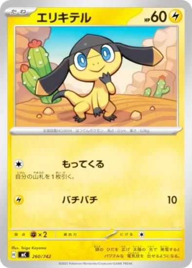 �ݥ���󥫡��ɥ����� MC 260/742 ���ꥭ�ƥ� �� MEGA �������ȥǥå�100 �Хȥ륳�쥯�����