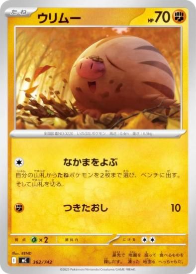 �ݥ���󥫡��ɥ����� MC 362/742 ����ࡼ Ʈ MEGA �������ȥǥå�100 �Хȥ륳�쥯�����