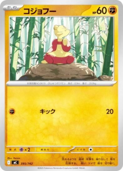 �ݥ���󥫡��ɥ����� MC 395/742 ������ա� Ʈ MEGA �������ȥǥå�100 �Хȥ륳�쥯�����