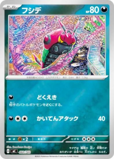 �ڥ�����͡ۥݥ���󥫡��ɥ����� MC 460/742 �ե��� �� MEGA �������ȥǥå�100 �Хȥ륳�쥯�����