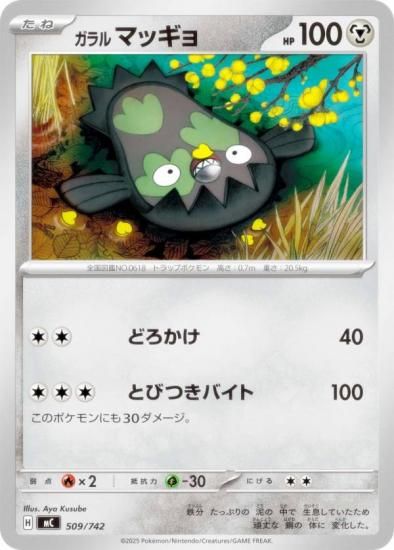 �ݥ���󥫡��ɥ����� MC 509/742 �����ޥå��� �� MEGA �������ȥǥå�100 �Хȥ륳�쥯�����