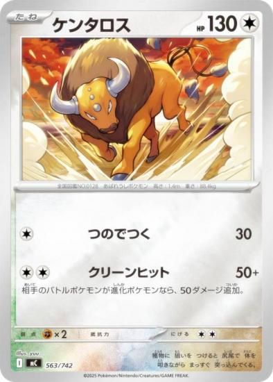 �ݥ���󥫡��ɥ����� MC 563/742 ���󥿥��� ̵ MEGA �������ȥǥå�100 �Хȥ륳�쥯�����