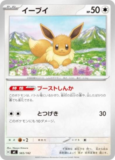 �ݥ���󥫡��ɥ����� MC 565/742 �����֥� ̵ MEGA �������ȥǥå�100 �Хȥ륳�쥯�����