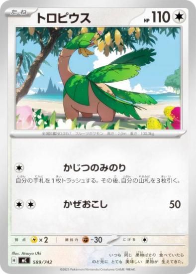 �ݥ���󥫡��ɥ����� MC 589/742 �ȥ��ԥ��� ̵ MEGA �������ȥǥå�100 �Хȥ륳�쥯�����