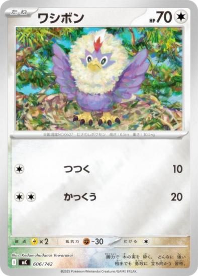 �ڥ�����͡ۥݥ���󥫡��ɥ����� MC 606/742 �亮�ܥ� ̵ MEGA �������ȥǥå�100 �Хȥ륳�쥯�����