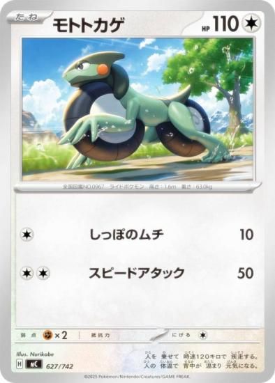 �ݥ���󥫡��ɥ����� MC 627/742 ��ȥȥ��� ̵ MEGA �������ȥǥå�100 �Хȥ륳�쥯�����