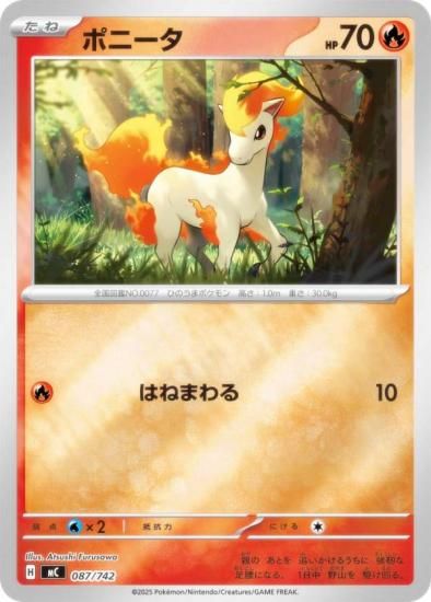 �ڥ�����͡ۥݥ���󥫡��ɥ����� MC 087/742 �ݥˡ��� �� MEGA �������ȥǥå�100 �Хȥ륳�쥯�����