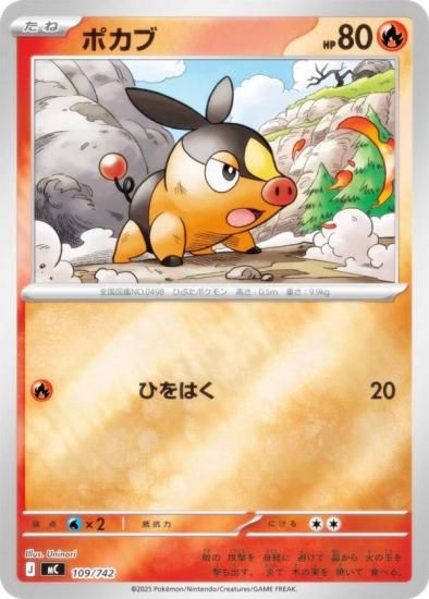 �ڥ�����͡ۥݥ���󥫡��ɥ����� MC 109/742 �ݥ��� �� MEGA �������ȥǥå�100 �Хȥ륳�쥯�����