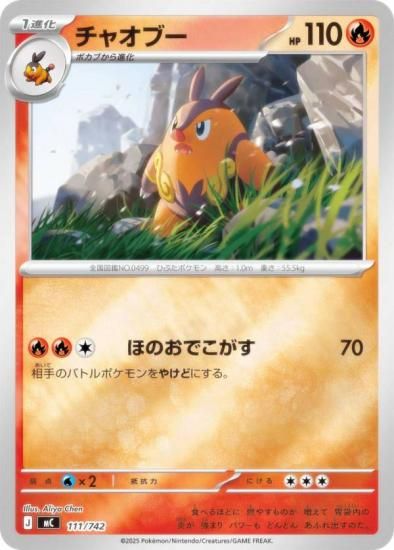 �ڥ�����͡ۥݥ���󥫡��ɥ����� MC 111/742 ���㥪�֡� �� MEGA �������ȥǥå�100 �Хȥ륳�쥯�����