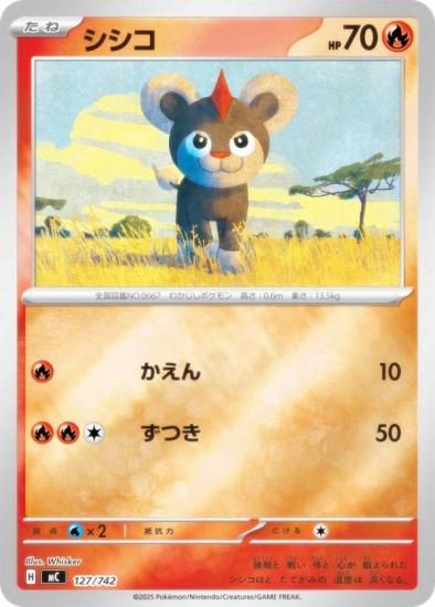 �ڥ�����͡ۥݥ���󥫡��ɥ����� MC 127/742 ������ �� MEGA �������ȥǥå�100 �Хȥ륳�쥯�����