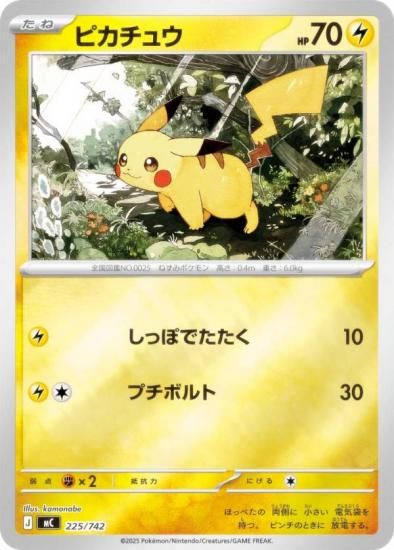 �ڥ�����͡ۥݥ���󥫡��ɥ����� MC 225/742 �ԥ����奦 �� MEGA �������ȥǥå�100 �Хȥ륳�쥯�����