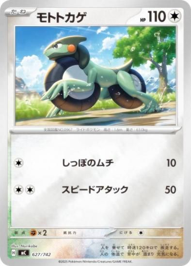 �ڥ�����͡ۥݥ���󥫡��ɥ����� MC 627/742 ��ȥȥ��� ̵ MEGA �������ȥǥå�100 �Хȥ륳�쥯�����