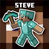 ��01 ���ƥ����� (�Ρ��ޥ�) �ۥޥ��󥯥�ե� MINECRAFT �ĥ��󥦥��ϡ���