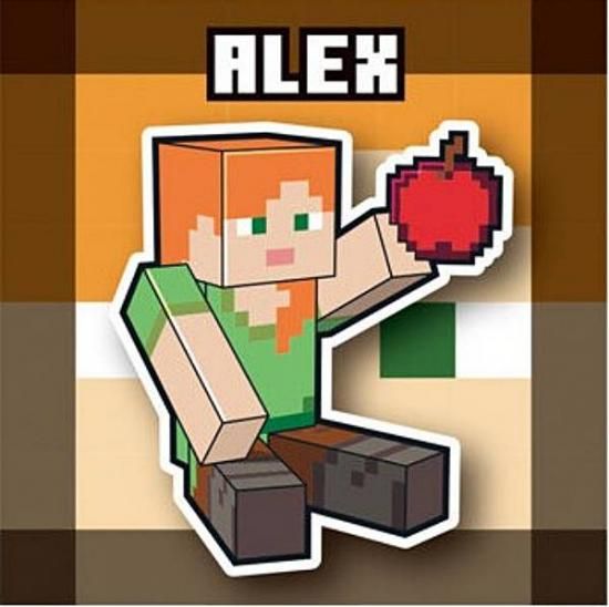 ��02 ����å��� (�Ρ��ޥ�) �ۥޥ��󥯥�ե� MINECRAFT �ĥ��󥦥��ϡ���