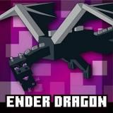 ��28 ��������ɥ饴�� (�쥢) �ۥޥ��󥯥�ե� MINECRAFT �ĥ��󥦥��ϡ���