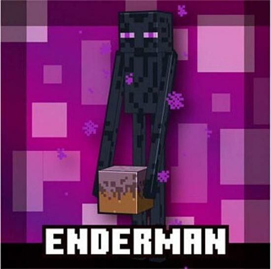 ��29 ��������ޥ� (�쥢) �ۥޥ��󥯥�ե� MINECRAFT �ĥ��󥦥��ϡ���