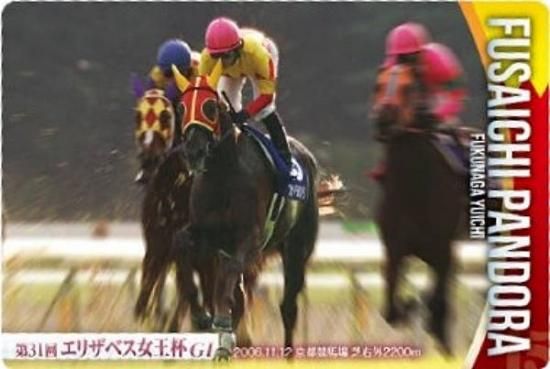 ��No.3-003.�ե������ѥ�ɥ� ��31�󥨥ꥶ�٥�������GI�ۥ���֥�åɥۡ������쥯����� �ĥ��󥦥��ϡ��� ��3R