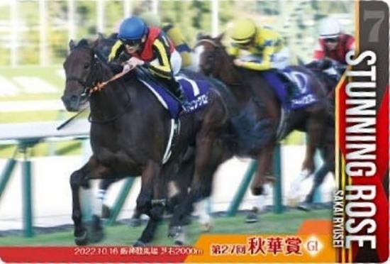 ��No.3-014.�����˥󥰥����� ��27�󽩲ھ�GI�ۥ���֥�åɥۡ������쥯����� �ĥ��󥦥��ϡ��� ��3R