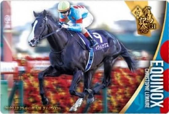 ��No.3-015.�������Υå��� ��67��ͭ�ϵ�ǰGI�ۥ���֥�åɥۡ������쥯����� �ĥ��󥦥��ϡ��� ��3R