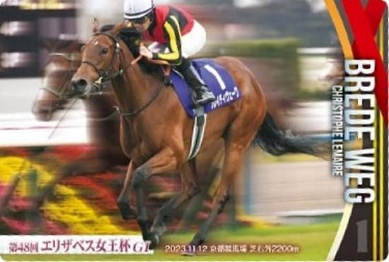 ��No.3-020.�֥쥤�ǥ��������� ��48�󥨥ꥶ�٥�������GI�ۥ���֥�åɥۡ������쥯����� �ĥ��󥦥��ϡ��� ��3R