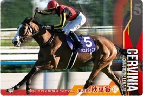 ��No.3-023.����������˥� ��29�󽩲ھ�GI�ۥ���֥�åɥۡ������쥯����� �ĥ��󥦥��ϡ��� ��3R