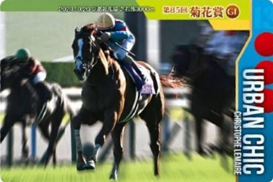 ��No.3-024.�����Х󥷥å� ��85��Ʋ־�GI�ۥ���֥�åɥۡ������쥯����� �ĥ��󥦥��ϡ��� ��3R