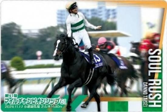 ��No.3-026.�������å��� ��41��ޥ�������ԥ��󥷥å�GI�ۥ���֥�åɥۡ������쥯����� �ĥ��󥦥��ϡ��� ��3R