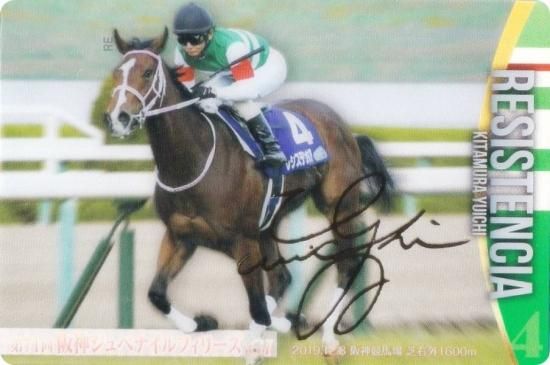 ��[�⿧�󲡤�����] No.3-011.�쥷���ƥ󥷥� ��71��������٥ʥ���ե��꡼��GI�ۥ���֥�åɥۡ������쥯����� �ĥ��󥦥��ϡ��� ��3R