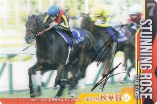 ��[�⿧�󲡤�����] No.3-014.�����˥󥰥����� ��27�󽩲ھ�GI�ۥ���֥�åɥۡ������쥯����� �ĥ��󥦥��ϡ��� ��3R