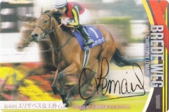 ��[�⿧�󲡤�����] No.3-020.�֥쥤�ǥ��������� ��48�󥨥ꥶ�٥�������GI�ۥ���֥�åɥۡ������쥯����� �ĥ��󥦥��ϡ��� ��3R