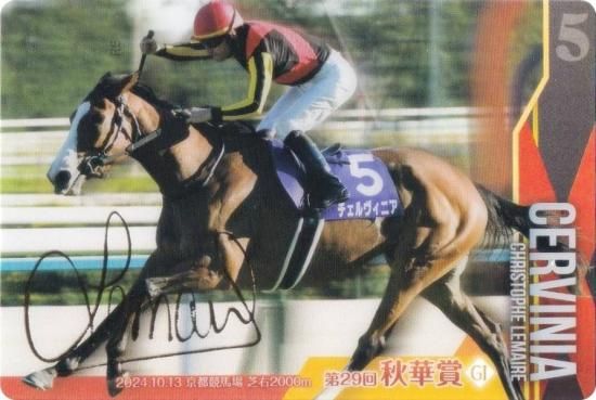 ��[�⿧�󲡤�����] No.3-023.����������˥� ��29�󽩲ھ�GI�ۥ���֥�åɥۡ������쥯����� �ĥ��󥦥��ϡ��� ��3R