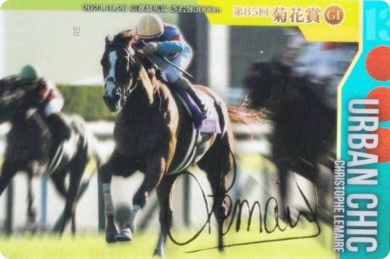 ��[�⿧�󲡤�����] No.3-024.�����Х󥷥å� ��85��Ʋ־�GI�ۥ���֥�åɥۡ������쥯����� �ĥ��󥦥��ϡ��� ��3R