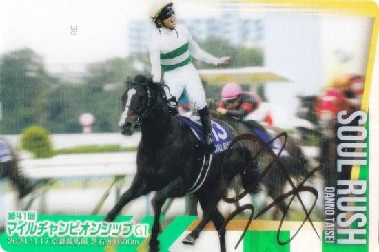 ��[�⿧�󲡤�����] No.3-026.�������å��� ��41��ޥ�������ԥ��󥷥å�GI�ۥ���֥�åɥۡ������쥯����� �ĥ��󥦥��ϡ��� ��3R