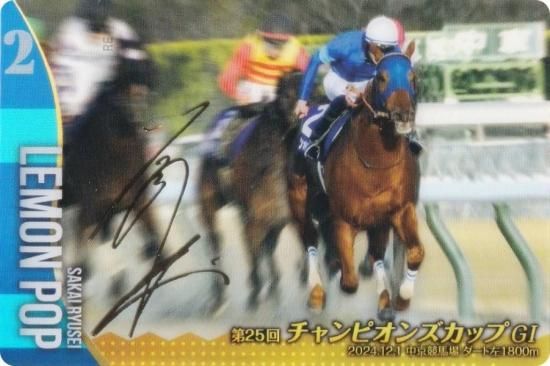 ��[�⿧�󲡤�����] No.3-028.����ݥå� ��25������ԥ��󥺥��å�GI�ۥ���֥�åɥۡ������쥯����� �ĥ��󥦥��ϡ��� ��3R