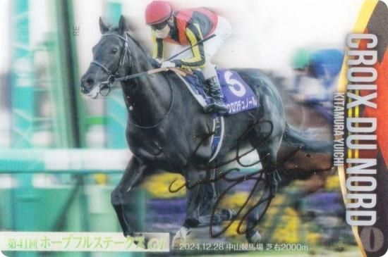 ��[�⿧�󲡤�����] No.3-029.������ǥ�Ρ��� ��41��ۡ��ץե륹�ơ�����GI�ۥ���֥�åɥۡ������쥯����� �ĥ��󥦥��ϡ��� ��3R