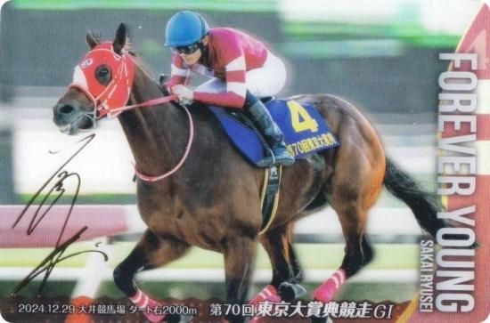 ��[�⿧�󲡤�����] No.3-030.�ե������С���� ��70��������ŵ����(GI)�ۥ���֥�åɥۡ������쥯����� �ĥ��󥦥��ϡ��� ��3R