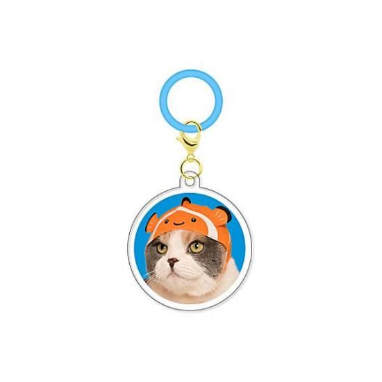 �ڤ��襤�� ���襤�� �ͤ��ο�²�ۡۤ��襤�� ���襤�� �ͤ��Τ��֤��� ���������㡼��