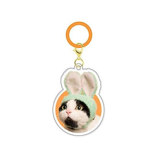 �ڤ��襤�� ���襤�� �ͤ������������ ���������ĥ��顼���ۤ��襤�� ���襤�� �ͤ��Τ��֤��� ���������㡼��